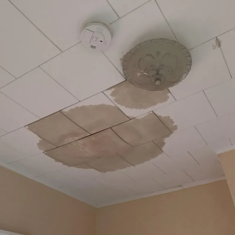 Ceiling Water Damage Repair in Grimsley, TN