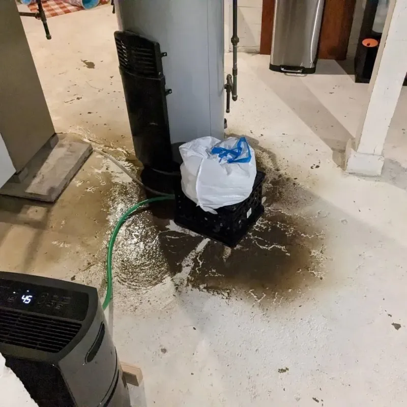 Sewage Backup Cleanup Service in Grimsley, TN